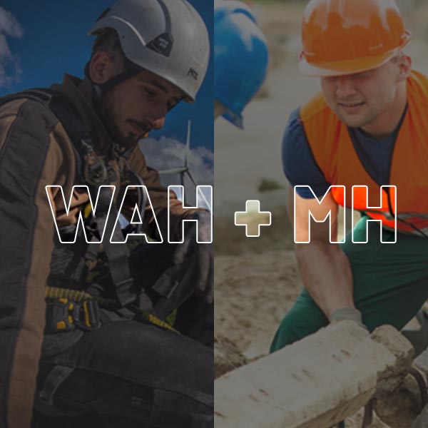 GWO | Working at Heights + Manual Handling